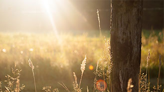 在线DDOS平台攻击