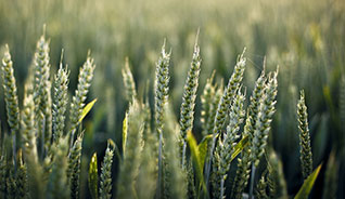 ddos攻击器安卓ios下载