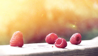 手机攻击器APP下载